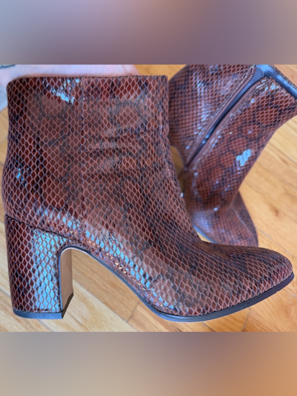 BCBGeneration Stein Snake Print Ankle Booties Brown Size 7